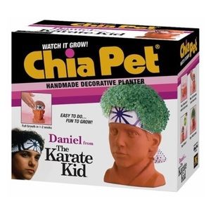 The Karate Kid Chia pet